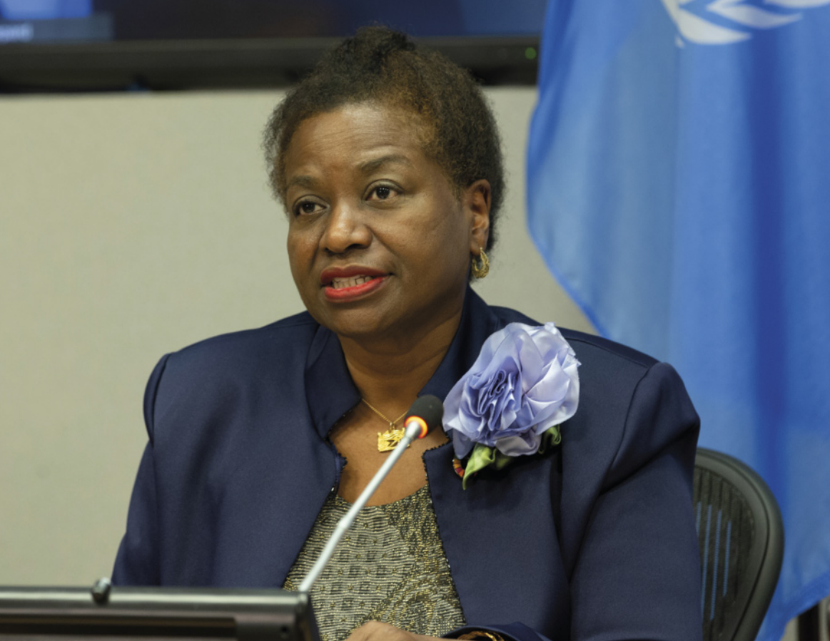 Foto de Natália Kanem. Ela é uma mulher negra, usa terno e está discursando.