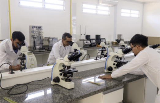 Foto de alunos no laboratório. Eles estão usando o microscópio.