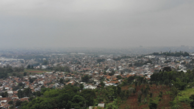 Foto de casas e prédios, com árvores e vegetação ao seu redor.