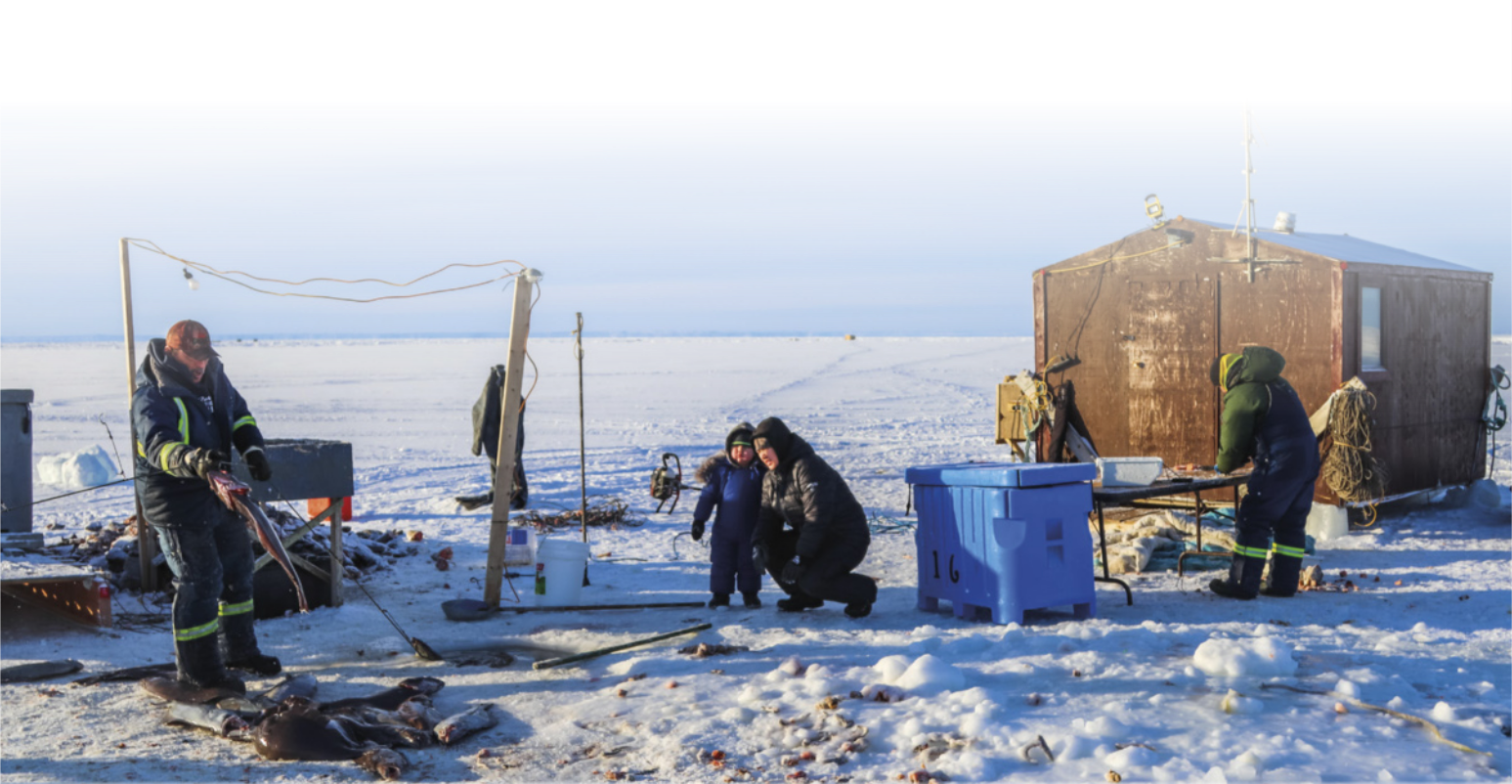 Imagem de pessoas em uma paisagem congelada. À esquerda, um homem pega peixes estendidos sobre a neve. Ao centro, uma mulher está agachada ao lado de uma criança. À direita, uma pessoa está ao lado de uma casa, com as mãos apoiadas sobre uma mesa.