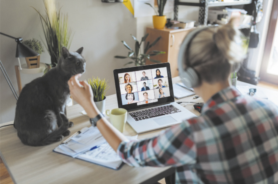 Imagem de mulher em uma videoconferência pelo computador. Com a mão esquerda, ela afaga um gato sentado na mesa.