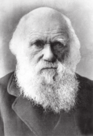Fotografia em preto e branco de Charles Darwin. Ele é branco, idoso, calvo, possui barba longa e usa casaco.