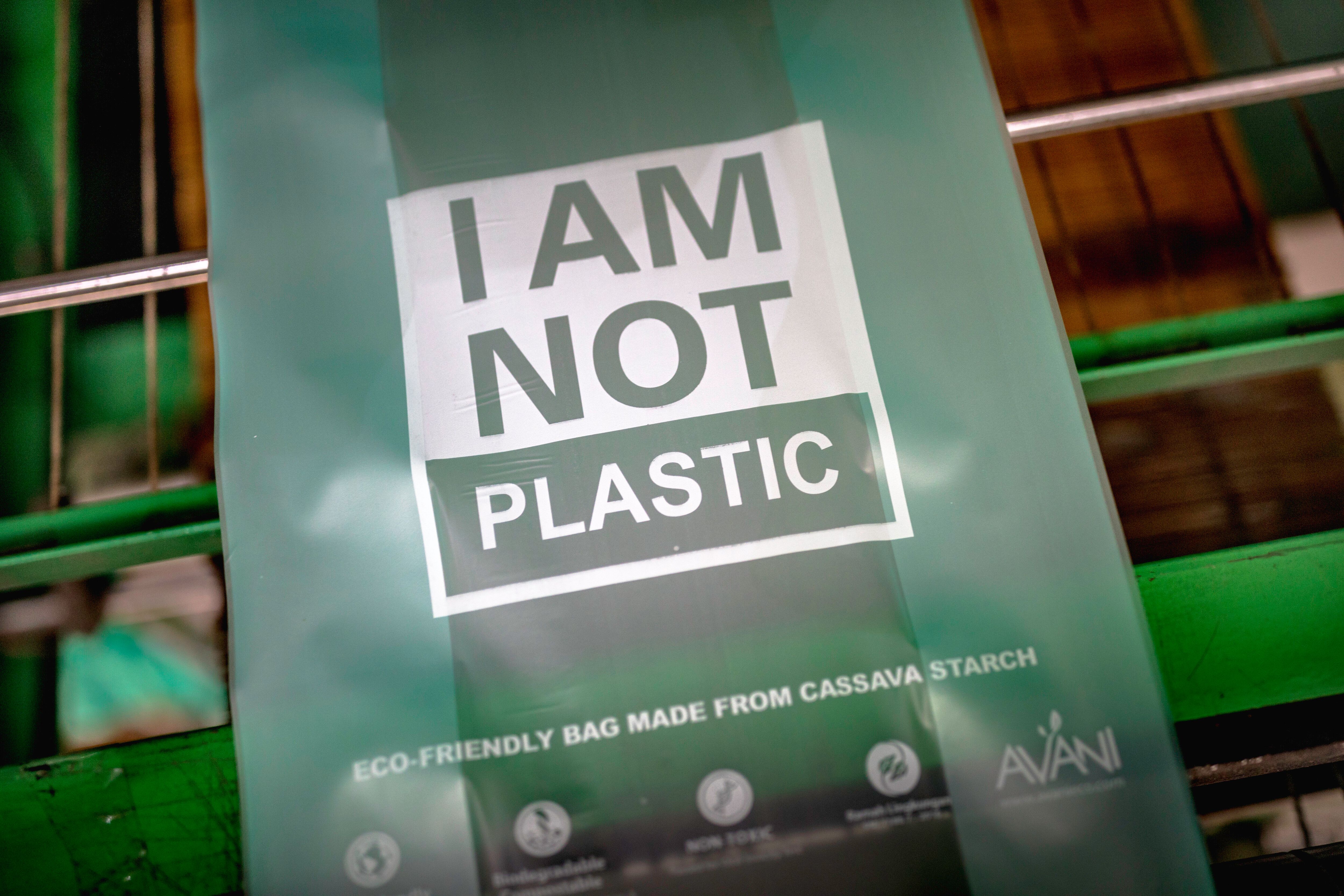 Fotografia. Uma sacola verde com a inscrição I AM NOT PLASTIC [Eu não sou plástico].