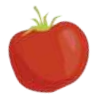 Ilustração de um tomate.