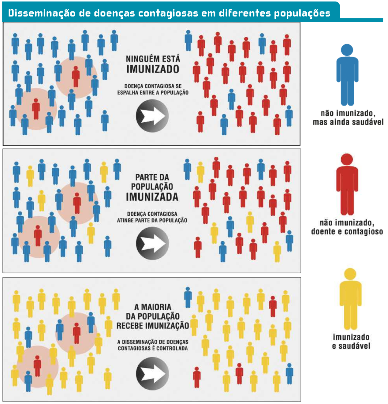 Imagem 'Disseminação de doenças contagiosas em diferentes populações' em 3 quadros. A legenda da imagem diz que pessoas de cor azul representam não imunizados, mas saudáveis. A cor vermelha representa pessoas não imunizadas, doentes e contagiosas. A cor amarela representa pessoas imunizadas e saudáveis. Q1: Estão ilustradas diversas pessoas de cor azul, e duas de cor vermelha. Seta com a seguinte mensagem: 'Ninguém está imunizado. Doença contagiosa se espalha entre a população'. A seta aponta para outro grupo de pessoas, dessa vez a maioria da cor vermelha, e a minoria, azul; Q2: Estão ilustradas diversas pessoas de cor azul, algumas de cor amarela, e uma minoria de cor vermelha. Seta com a seguinte mensagem: 'Parte da população imunizada. Doença contagiosa atinge parte da população'. A seta aponta para outro grupo de pessoas, dessa vez a maioria de cor vermelha, a minoria de cores azul e amarela. Q3: Estão ilustradas diversas pessoas de cor amarela, e uma minoria de cores azul e vermelha.  Seta com a seguinte mensagem: 'A maioria da população recebe imunização. A disseminação de doenças contagiosas é controlada'. A seta aponta para outro grupo de pessoas, dessa vez a maioria de cor amarela, a minoria de cores vermelha e azul.