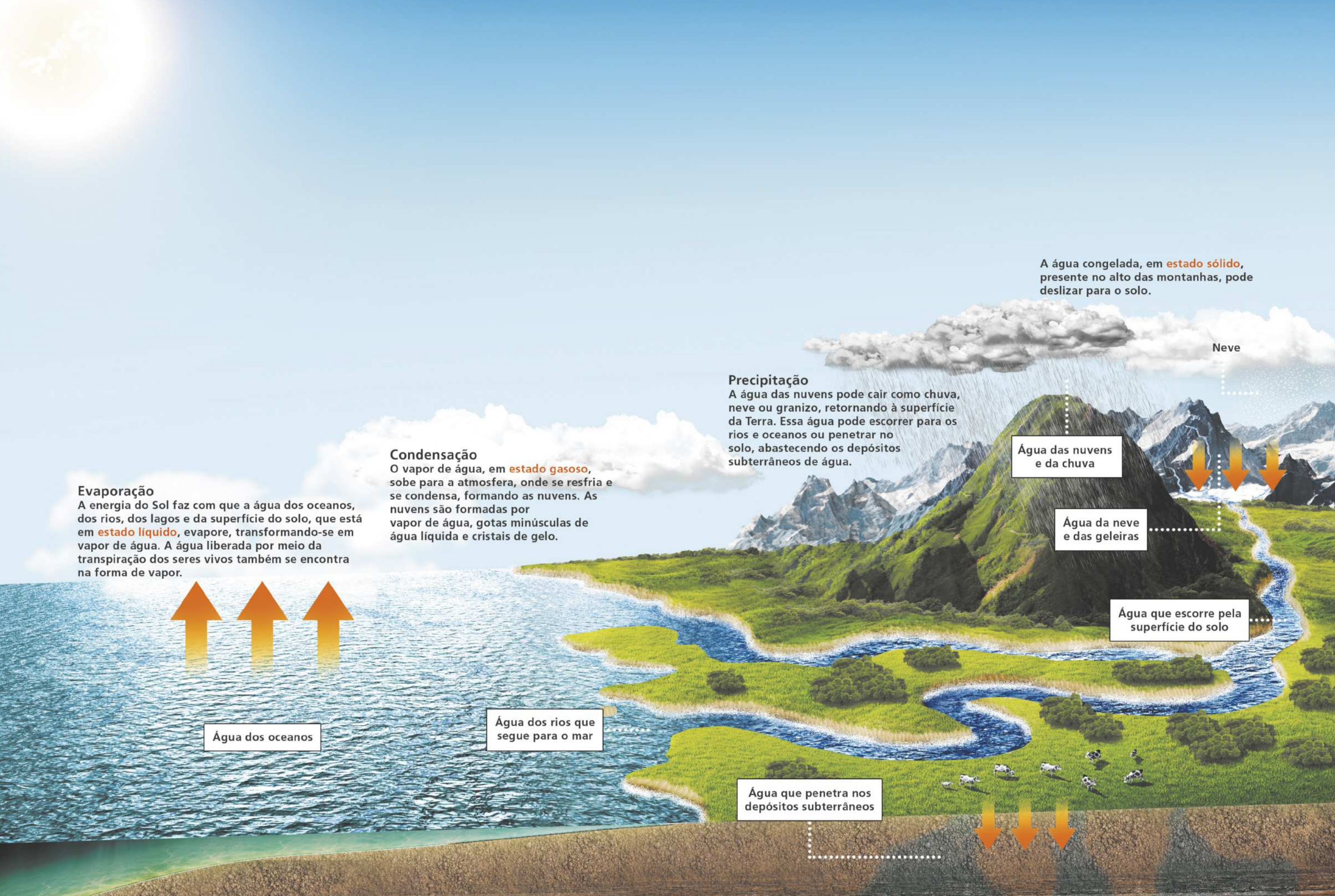 Imagem representando o ciclo da água. A energia do Sol faz com que a água dos oceanos, dos rios, dos lagos e da superfície do solo, que está em estado líquido, evapore, transformando-se em vapor de água. A água liberada por meio da transpiração dos seres vivos também se encontra na forma de vapor. Este é o processo de evaporação. O vapor de água em estado gasoso sobe para a atmosfera, onde se resfria e se condensa, formando as nuvens. As nuvens são formadas por vapor de água, gotas minúsculas de água líquida e cristais de gelo. Este é o processo de condensação. A água das nuvens pode cair como chuva, neve ou granizo, retornando à superfície da Terra. Essa água pode escorrer para os rios e oceanos ou penetrar no solo, abastecendo os depósitos subterrâneos de água. A água congelada, em estado sólido, presente no alto das montanhas, pode deslizar para o solo.