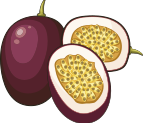 Ilustração de um fruto de maracujá. Há um fruto inteiro, e um cortado pela metade, expondo a polpa e sementes.