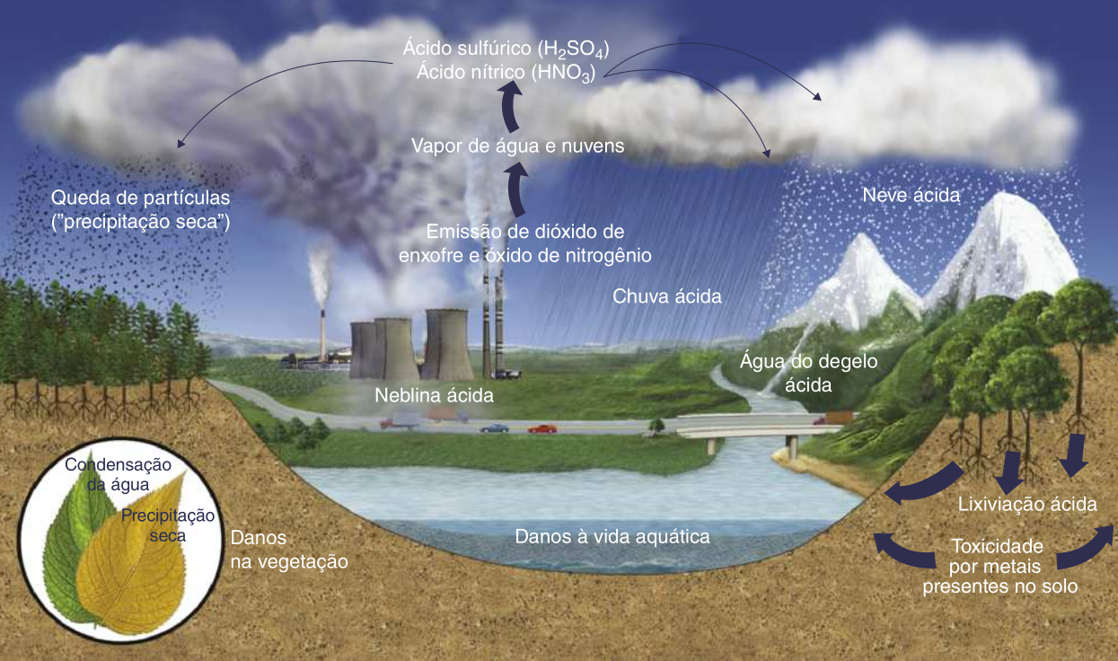 Imagem ilustrando a chuva ácida. A emissão de dióxido de enxofre e óxido de nitrogênio pelas indústrias se mesclam ao vapor de água e às nuvens, formando ácido sulfúrico e nítrico. Estes ácidos se acumulam nas nuvens, e podem gerar a queda de partículas (precipitação seca), chuva, neblina, neve, água do degelo, e lixiviação ácidas. Isso leva a danos à vida aquática, toxicidade por metais presentes no solo e danos à vegetação. Quando há condensação da água, as folhas ficam verdes, e quando há precipitação, as folhas secam, ficando amarelas.