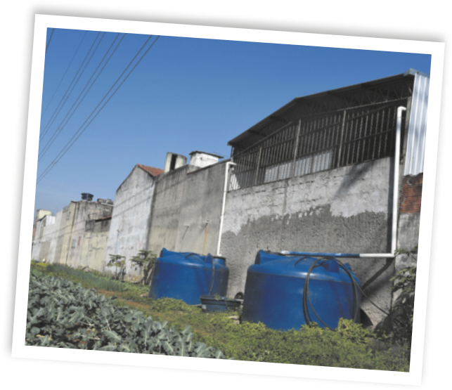 Fotografia de dois reservatórios em formato de tambor conectados à calha de um telhado por um cano. Há plantas ao lado dos reservatórios.
