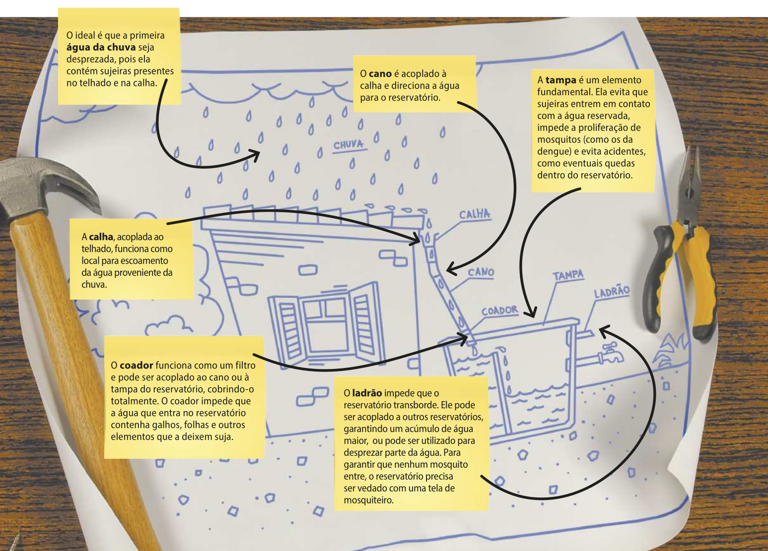 Ilustração mostrando formas de captação de água. A ilustração mostra uma casa com telhado e calha, e um reservatório com tampa e torneira. As informações são as seguintes:  'O ideal é que a primeira água da chuva seja desprezada, pois ela contém sujeiras presentes no telhado e na calha'; 'A calha, acoplada ao telhado, funciona como local para escoamento da água proveniente da chuva'; 'O cano é acoplado à calha e direciona a água para o reservatório'; 'O coador funciona como um filtro e pode ser acoplado ao cano ou à tampa do reservatório, cobrindo-o totalmente. O coador impede que a água que entra no reservatório contenha galhos, folhas e outros elementos que a deixem suja'; 'A tampa é um elemento fundamental. Ela evita que sujeiras entrem em contato com a água reservada, impede a proliferação de mosquitos (como os da dengue) e evita acidentes, como eventuais quedas dentro do reservatório'; 'O ladrão impede que o reservatório transborde. Ele pode ser acoplado a outros reservatórios, garantindo um acúmulo de água maior, ou pode ser utilizado para desprezar parte da água. Para garantir que nenhum mosquito entre, o reservatório precisa ser vedado com uma tela de mosquiteiro'.