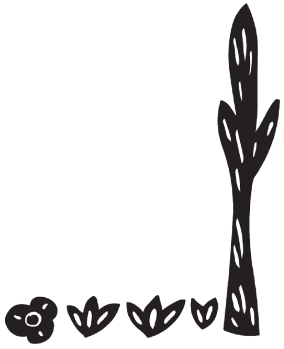 Ilustração com arbustos, cactos e flores em formato de cordel.