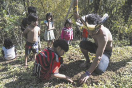 Fotografia de um grupo de crianças e um adulto em uma área de mata, participando de uma atividade de plantio. O adulto, agachado e usando um cocar, orienta uma criança que coloca algo na terra, enquanto as demais observam ao redor.