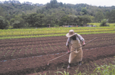Fotografia de uma horta, com um homem usando avental e chapéu, preparando a terra com uma enxada.