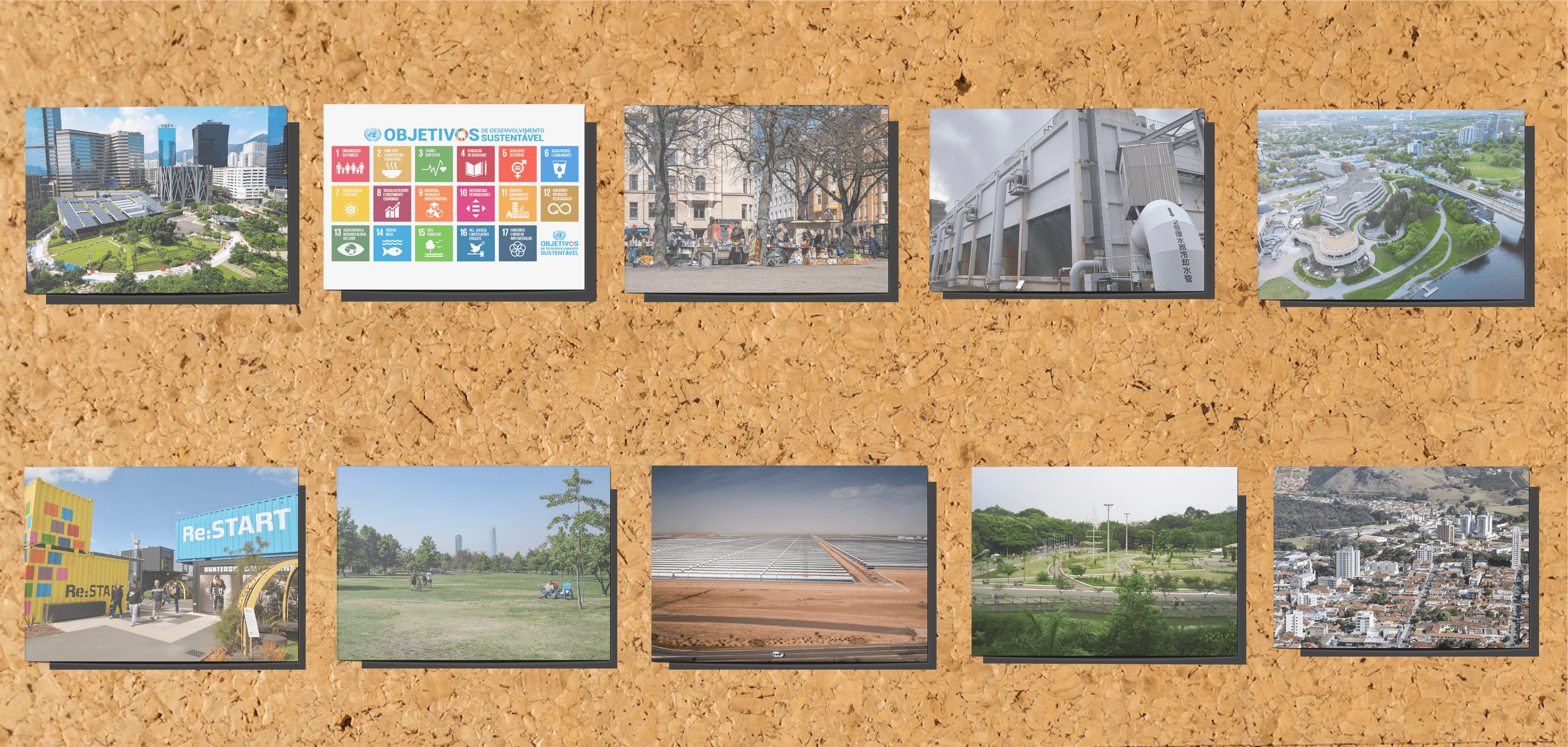 Fotomontagem. Painel de cortiça com dez fotografias fixadas.