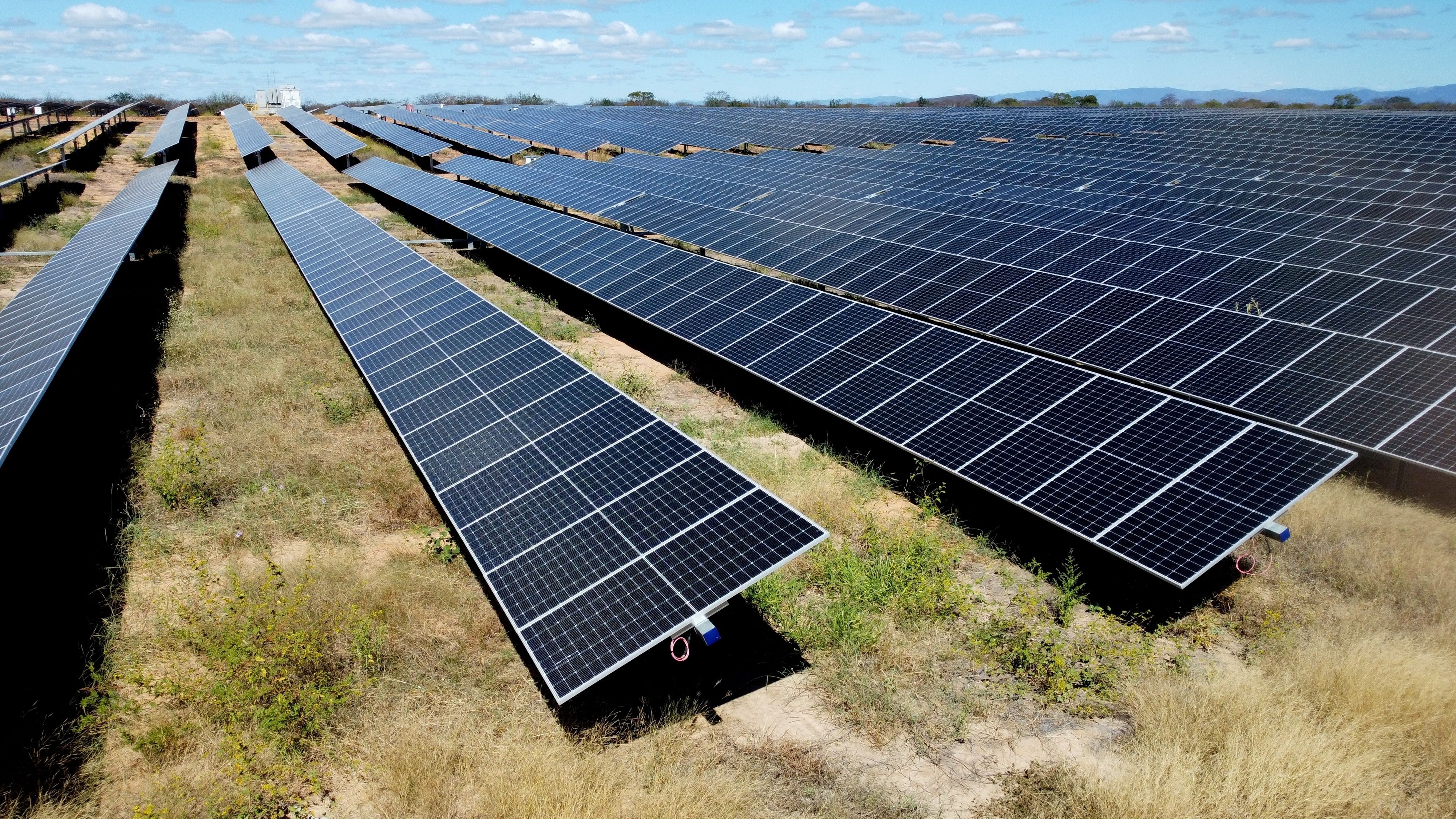 Fotografia. Fileiras de painéis solares escuros e retangulares dispostos em gramados.