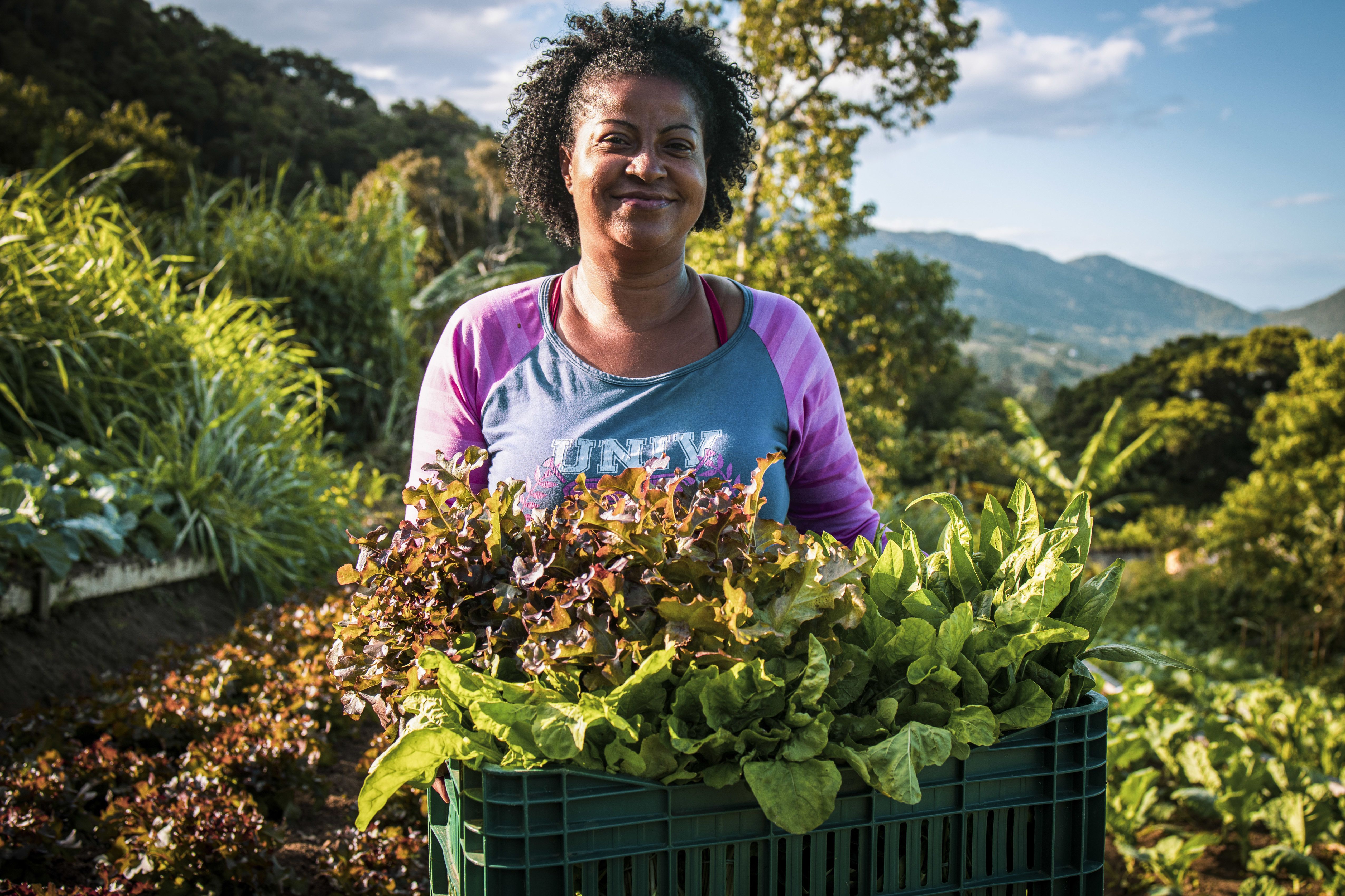 Fotografia. Ao centro, uma mulher de cabelo castanho, curto e cacheado vestindo blusa rosa e cinza. Ela está segurando uma cesta com diversas verduras. Ao fundo, plantações e árvores.