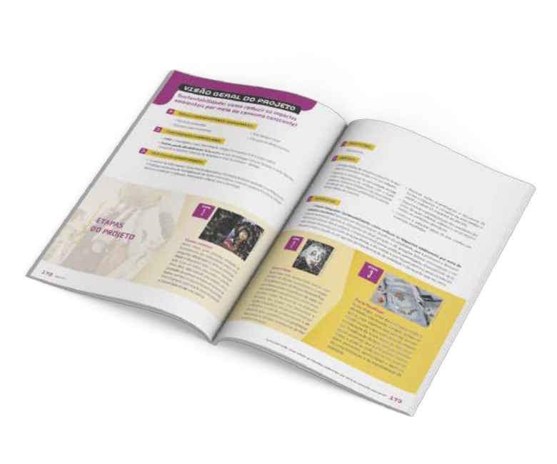 Reprodução de páginas do livro contendo a visão geral do projeto.