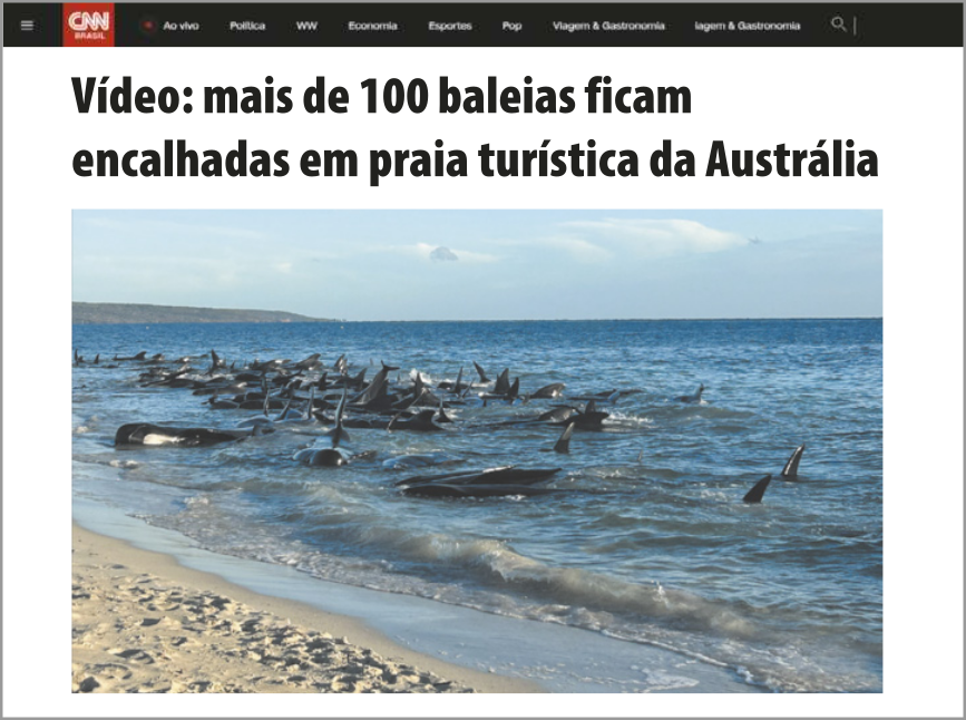 Imagem de notícia em página de internet, escrito 'Vídeo: mais de 100 baleias ficam encalhadas em praia turística da Austrália'. Na fotografia, há a imagem de uma praia com centenas de baleias no raso com as nadadeiras à mostra.