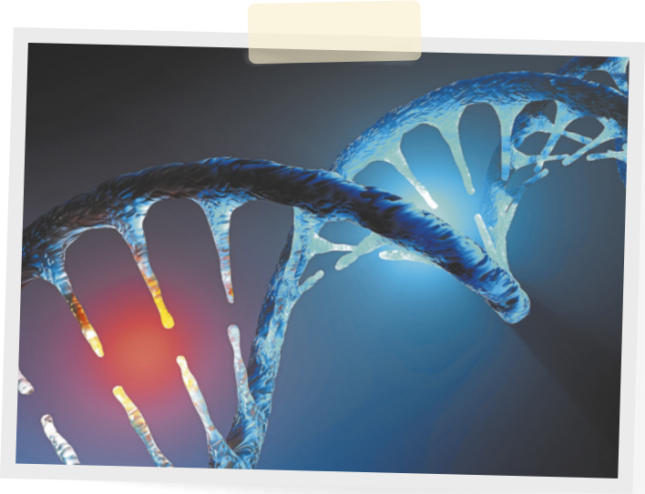 Imagem de um DNA. Ele é formado por duas fitas longas retorcidas com filamentos entre elas.