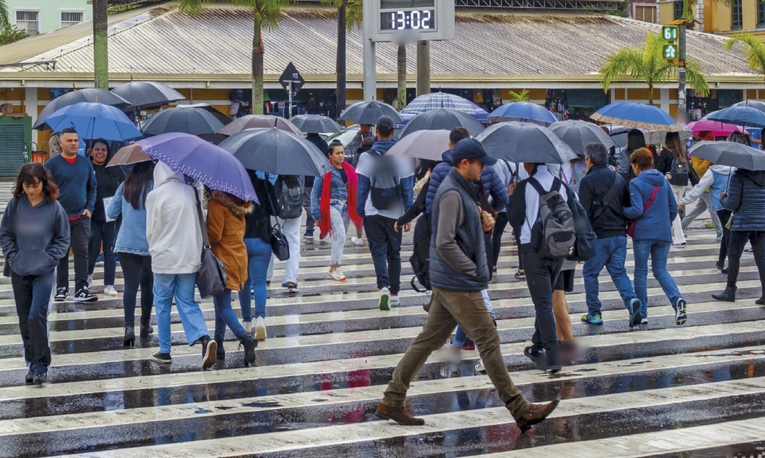 Fotografia de pedestres atravessando uma ampla avenida pela faixa de pedestres em um dia chuvoso, com a maioria utilizando guarda-chuva.