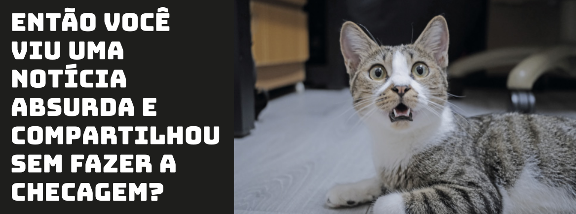 Imagem de um meme com a foto de um gato deitado no chão, com expressão de espanto, olhando diretamente para a câmera e com a boca levemente aberta. Ao lado da imagem, há um texto em destaque que diz: 'Então você viu uma notícia absurda e compartilhou sem verificar a veracidade?'.